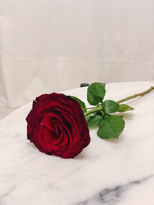 Red rose on marble table.