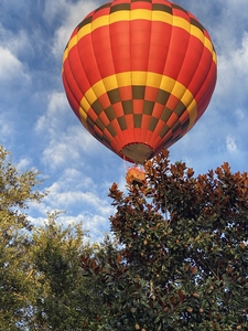 Hot Air Balloons Flying Over