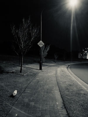 Deserted street on winter night