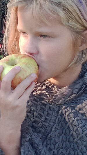 Young blond girl eating apple