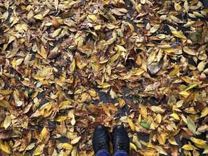 Walking on autumn leaves