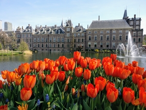 Red Tulips against Lake and Castle