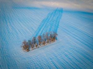 Aerial view of snow landscape with trees