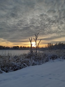 Sunset in snow landscape
