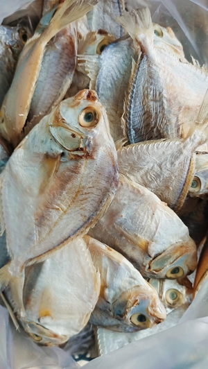 Salted fish for sale