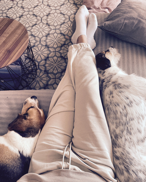 nap time with dogs