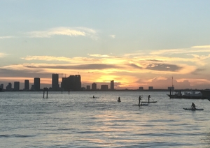 Miami Sunset Paddle boarding
