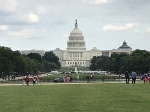 Capitol- Washington, DC