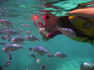 girl snorkeling in the sea with small fishes swimmingaround