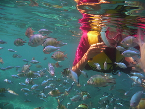 girl snorkeling in the sea with fishes swimming around