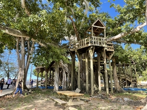the largest tree house in Aguadilla Puerto Rico