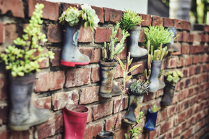 planting in shoes hanging against a wall