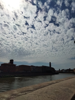 View of Pisa