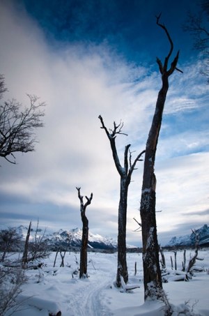 Winter landscape in patagonia
