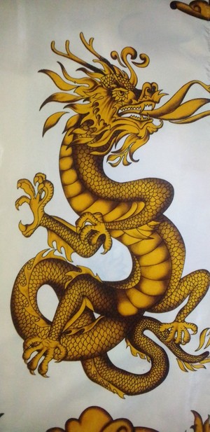 Golden beautiful dragon s