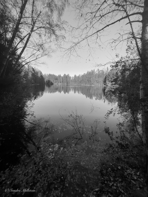 Lake in Norway black and white