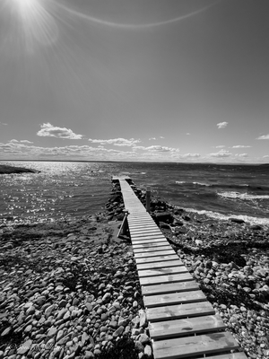 Wooden pier on beach black and white