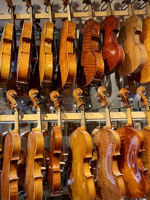 Violin exhibition at a luthier