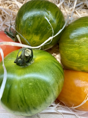 Focus on fresh green tomatoes on a market display