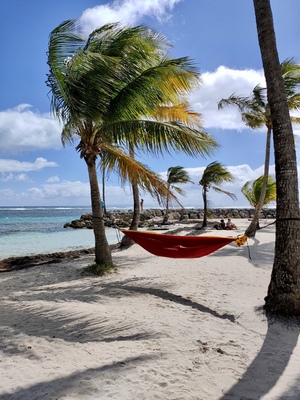 Caribbean beach with a hammock between two palm trees