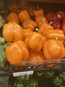 grocery shopping (Orange Bell peppers)