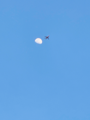 Airplane against blue sky and moon