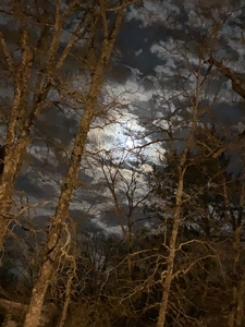 Beautiful glowing moon on a winter full moon