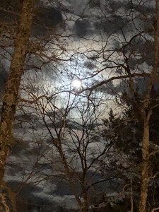 Beautiful moon sucked into a vortex of winter.