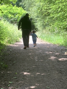 Father and son walking in forest seen from behind