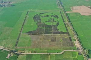world largest crops image