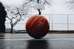 portrait of a basketball on a court