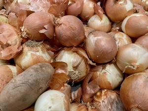 onions at a market