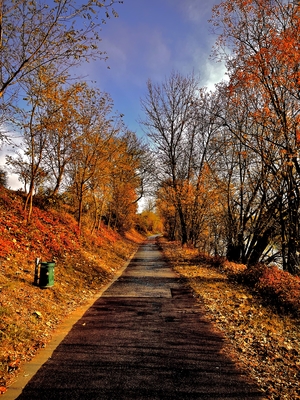 footpath through park in autumn in Austria