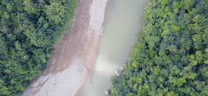 Aerial of river running through forest