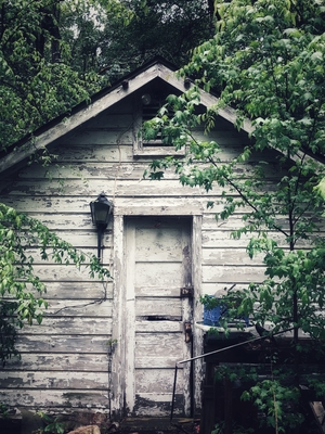 old farm shed in woods
