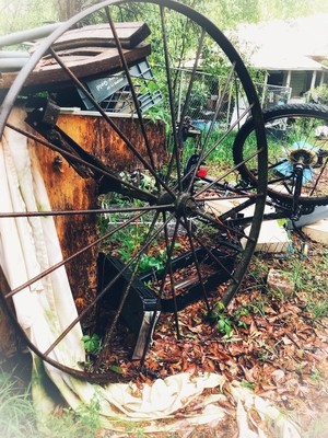 old wagon wheel amongst rubbish in woods.