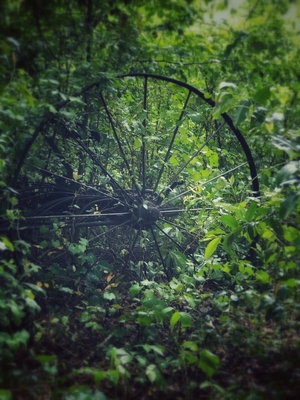 old wagon wheel in woods