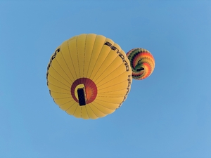 Hot air balloons seen from below