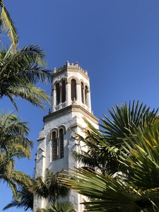 Catholic Church tower palm leaves