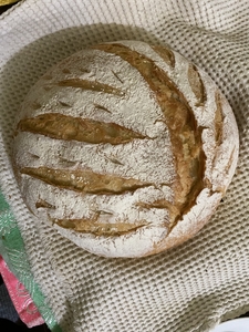 traditional crusty bread