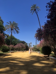 Woman walking in park during summer in Spain
