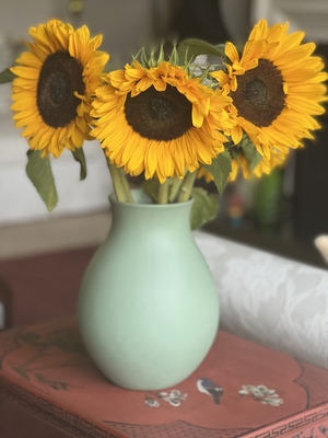 Sunflowers in a Green Vase