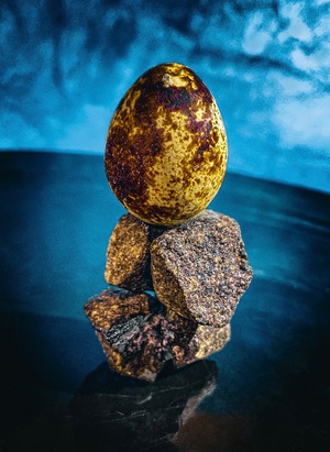 Quail egg on the rock