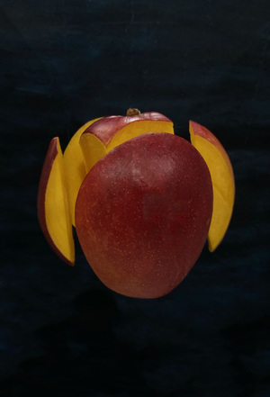 Mango in dark background