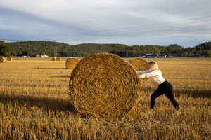 A woman try to push a hayball.