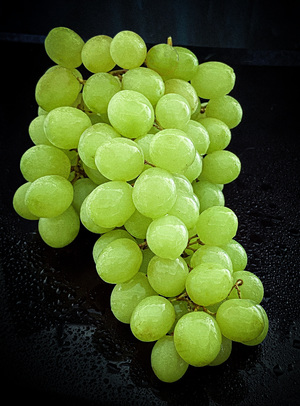 grapes in dark background
