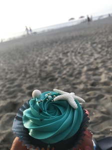 sea design cupcake in beachside