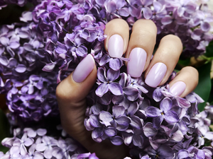 lilac flowers in hand with lilac manicure manicure