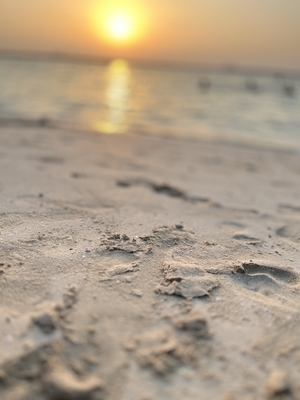 Close up of marks im sand at the beach Al Mamzar Beach Dubai