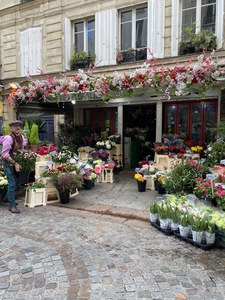 nice flower market